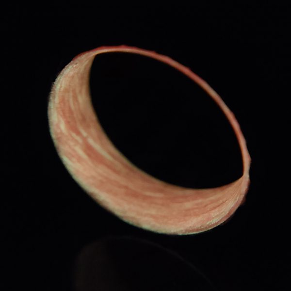 Carbon Fiber Twill Ring with Red Glowing Interior